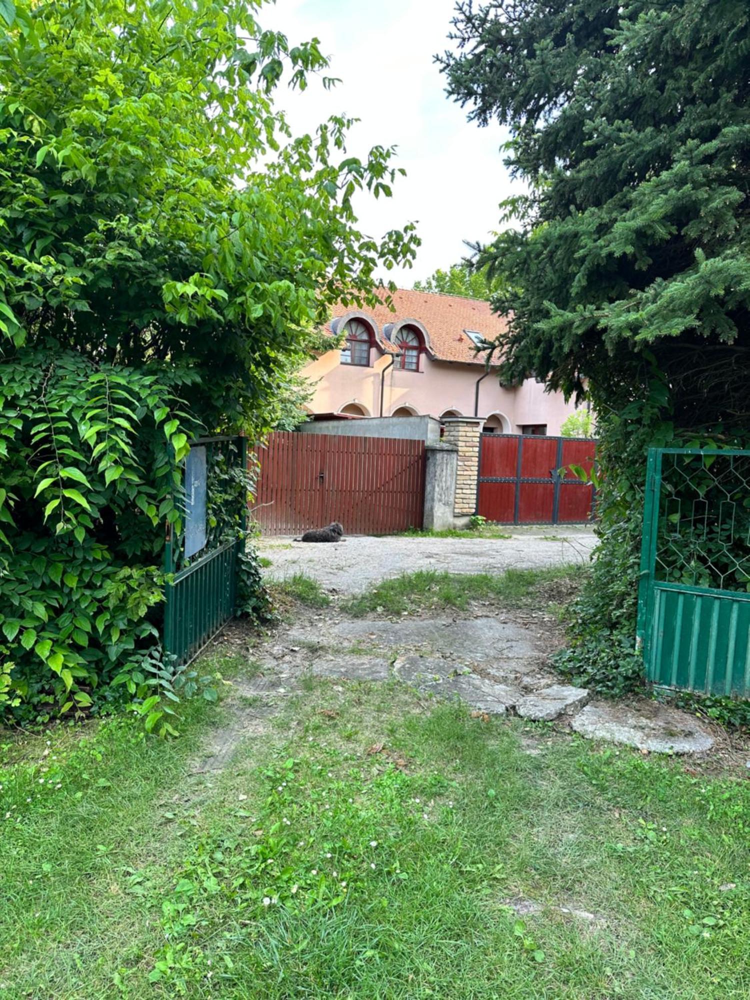 Vila Regina Palic Room photo