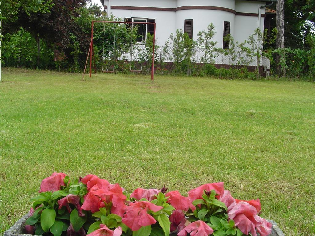 Vila Regina Palic Room photo